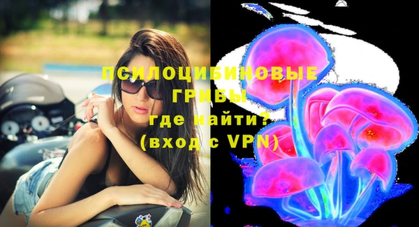 mix Белокуриха