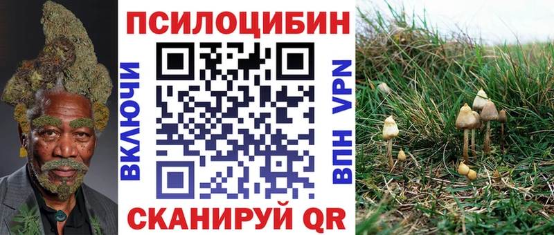 Псилоцибиновые грибы Psilocybine cubensis  Верея 
